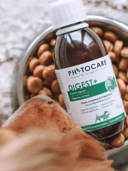 Complément alimentaire Confort digestif - DIGEST+ - Biogance phytocare