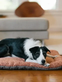 Couchage pour chien - Chill Pad Canyon Terracotta - Pet PLAY