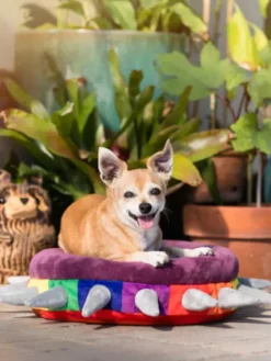 Couchage pour chien - Spiked by P.L.A.Y - Pet PLAY
