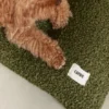 Coussin pour chien Bela - Bouclette vert - Cafide