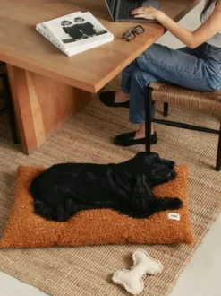 Coussin pour chien Bela - Bouclette moutarde - Cafide
