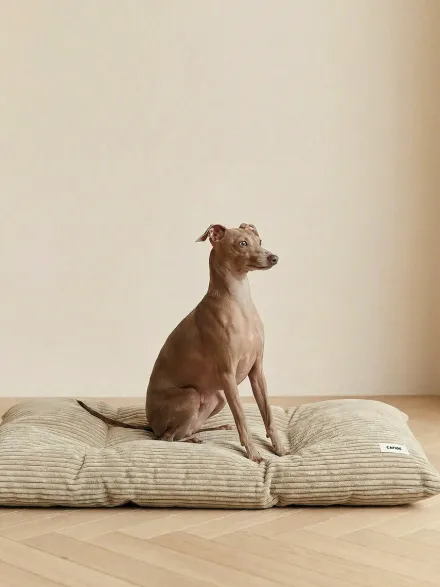Coussin pour chien Bela - Velours côtelé beige - Cafide
