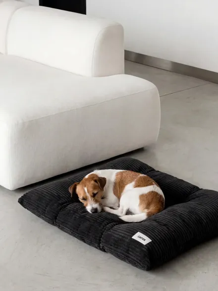 Coussin pour chien Bela - Velours côtelé noir - Cafide
