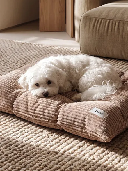 Coussin pour chien Bela - Velours côtelé mocca - Cafide