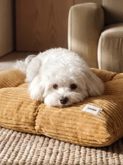 Coussin pour chien Bela - Velours côtelé moutarde - Cafide