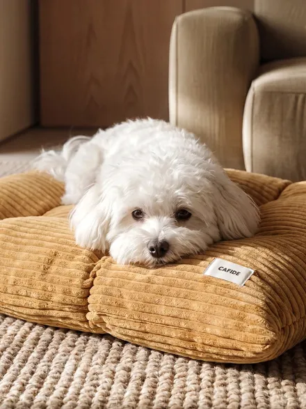 Coussin pour chien Bela - Velours côtelé moutarde - Cafide