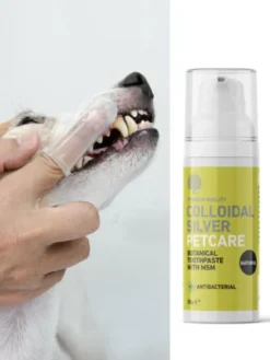 Dentifrice à base d'argent colloïdal pour chien et chat