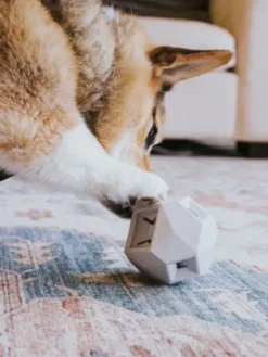 Distributeur de friandises interactif pour chien - The Odin - Gris