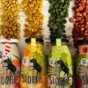Délicieuse 🥤 boisson naturelle pour chien - Wild Meat 🍲🦌- Sloofie