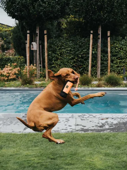 Dummy pour chien sac d'éducation - Orange - Hunter