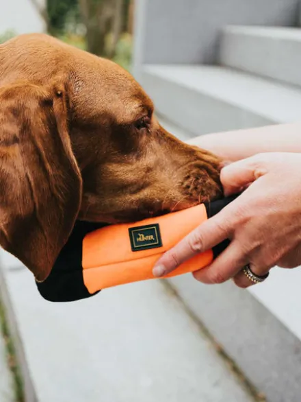 Dummy pour chien sac d'éducation - Orange - Hunter