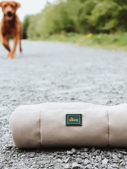 Dummy pour chien sac d'éducation - Taupe - Hunter