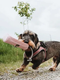 Dummy pour chien sac d'éducation - Rose - Hunter