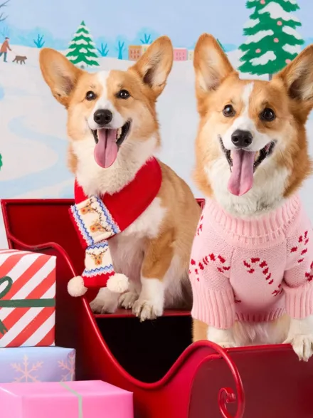 Echarpe de Noel pour chien - Rennes de Noël - The Foggy Dog