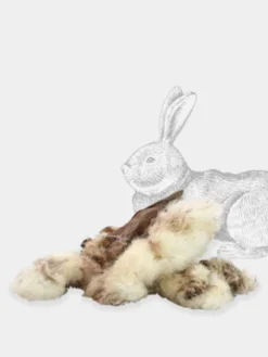 Friandise de mastication - Oreilles de lapin avec poils