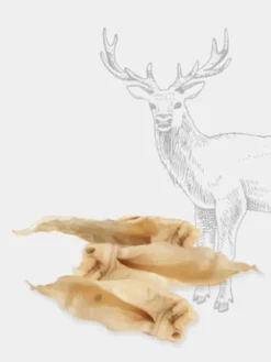 Friandise de mastication - Oreilles de cerf