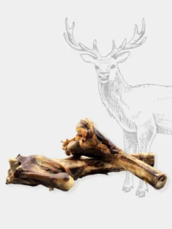 Friandise de mastication - Os à Moelle de cerf