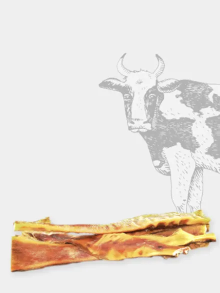 Friandise de mastication - Peau de bœuf extra dure - 30 cm