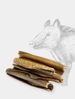 Friandise de mastication pour chien - Peau de Sanglier 🐗
