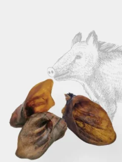 Friandise de mastication pour chien - Oreille de Sanglier 🐗