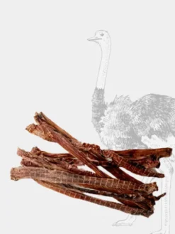 Friandise de mastication pour chien - Œsophage d'autruche