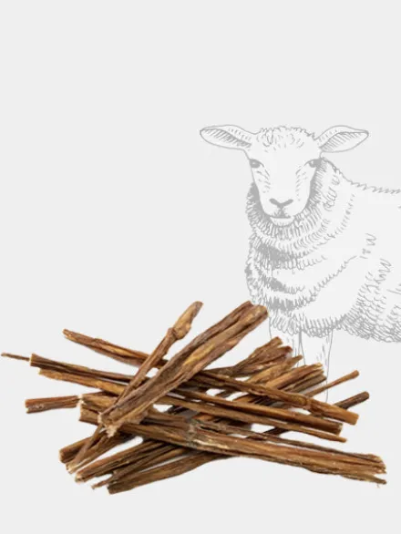 Friandise de mastication pour chien - Spaghetti d'agneau 🐑