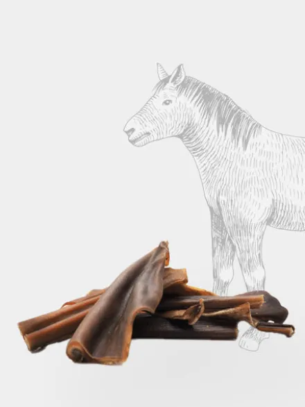 Friandise de mastication pour chien - Peau de Cheval 🐎