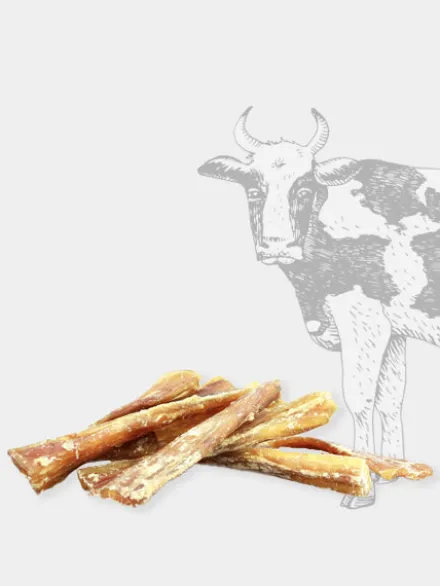 Friandise de mastication - Tendons de cou de bœuf
