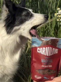 Friandises Crunchy Snack - Maquereau et Framboises - Carnilove