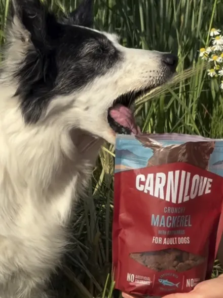 Friandises Crunchy Snack - Maquereau et Framboises - Carnilove