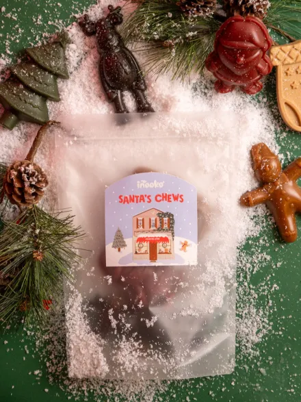 Friandises de Noël pour chien - Santa's Chews ⛄🎅🎄 - inooko