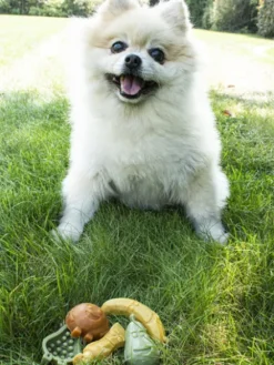 Friandises dentaires à mâcher pour chien - Garden Bites Fruity Friends - S
