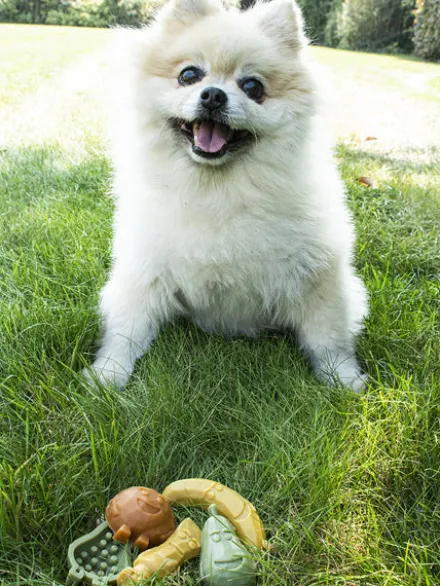 Friandises dentaires à mâcher pour chien - Garden Bites Fruity Friends - S