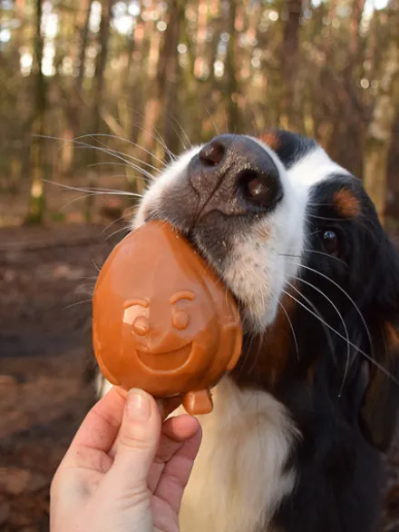 Friandises dentaires à mâcher pour chien - Garden Bites Fruity Friends - L