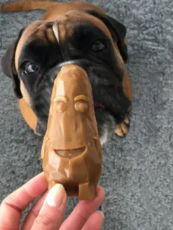 Friandises dentaires à mâcher pour chien - Garden Bites Veggie Friends - L