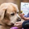 Friandises Dog Functional Snack Antistress - Crevette 🦐 et Chanvre 🌿 - Brit