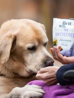 Friandises Dog Functional Snack Antistress - Crevette 🦐 et Chanvre 🌿 - Brit