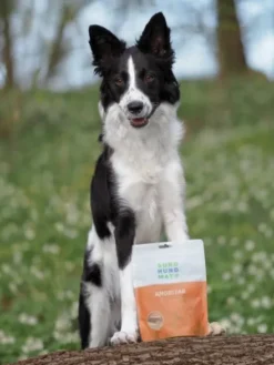 Friandises Lyophilisées - Freeze-dried Raw pour chien - Canard 🦆