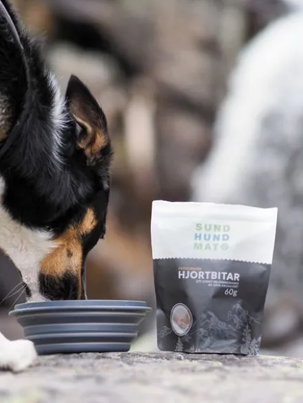 Friandises Lyophilisées - Freeze-dried Raw pour chien - Cerf 🦌