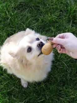 Friandises à mâcher pour chien - Garden Bites Fruity Buddies