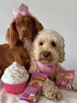 Friandises naturelles - Cupcake Coco et Fraise 🧁🥥🍓 - Soopa