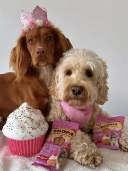 Friandises naturelles - Cupcake Coco et Fraise 🧁🥥🍓 - Soopa