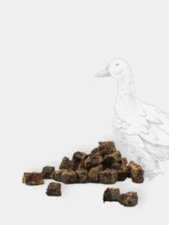 Friandises naturelles d'éducation pour chien - Canard
