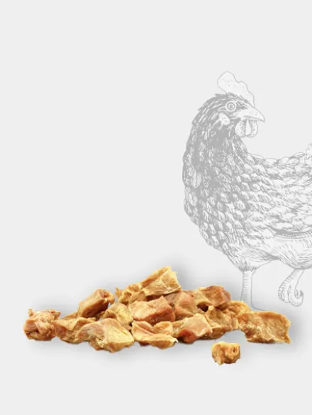 Friandises naturelles d'éducation pour chien - Nugget de Poulet