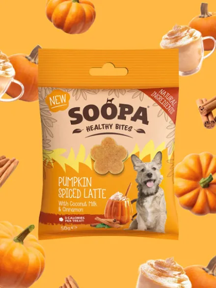 Friandises naturelles - Pumpkin Spice Latte édition limitée 🍂 - Soopa
