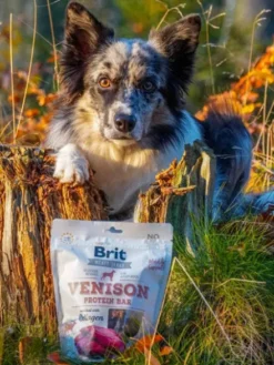 Friandises pour chien Jerky Snack - Cerf 🦌 - Brit