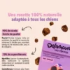 Friandises pour chien - Les Pépites au Poulet 🐓 - Delamour
