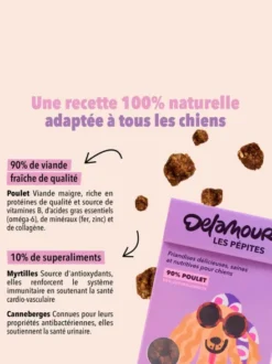 Friandises pour chien - Les Pépites au Poulet 🐓 - Delamour