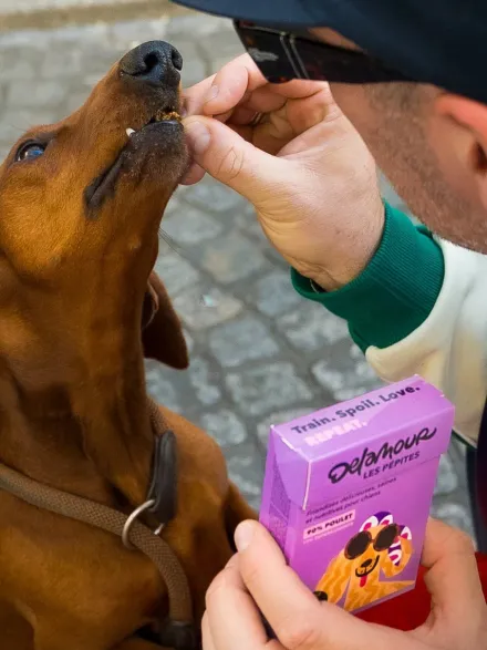 Friandises pour chien - Les Pépites au Poulet 🐓 - Delamour