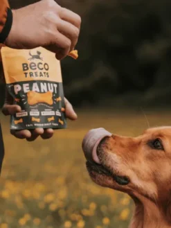 Friandises pour chien - Peanut Butter - Noix de Coco et Curcuma